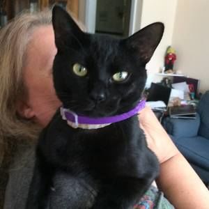 Meet your Posher, Trish